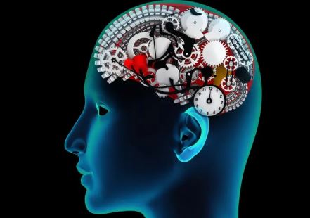 زراعة جهاز للذكريات في مخ الإنسان مستحيلة أم  ممكنة