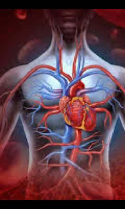 القلب والشرايين :اختصاص الطب