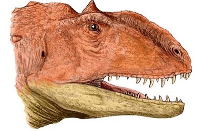 ماجونغاصور ... معلومات