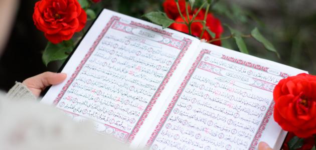 معلومات عن القرآن الكريم و علومه