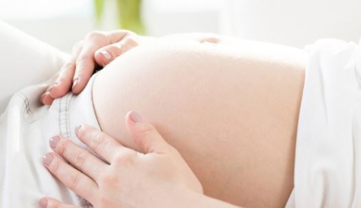  مراحل نمو الجنين خلال الأسبوع التاسع عشر و العشرين 