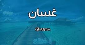 معنى اسم غسان