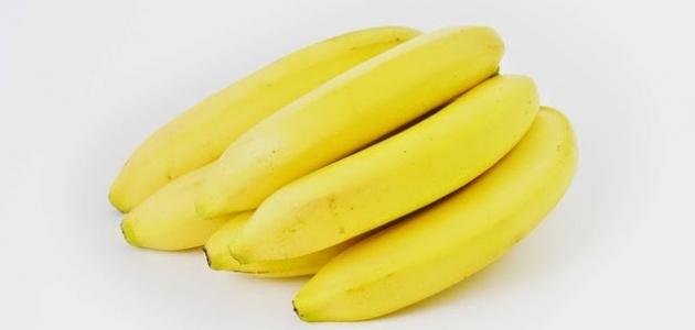  ماهي فاكهة الموز فوائدها وأضرارها