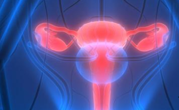 خيارات علاج سرطان عنق الرحم معلومات