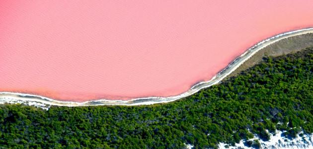 البحيرة الوردية حقائق وأسرار
