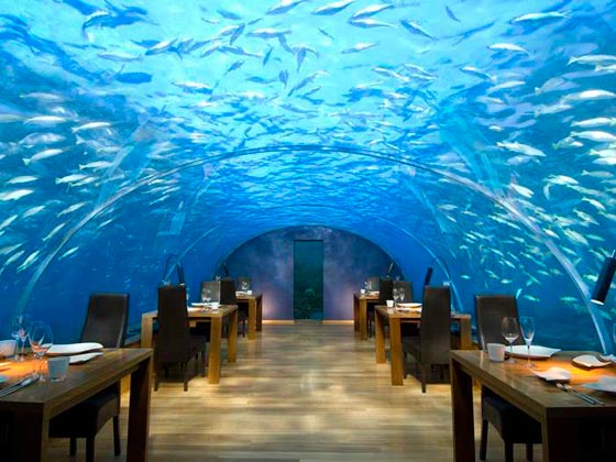المطعم تحت الماء في جزر المالديف معلومات مهمة  