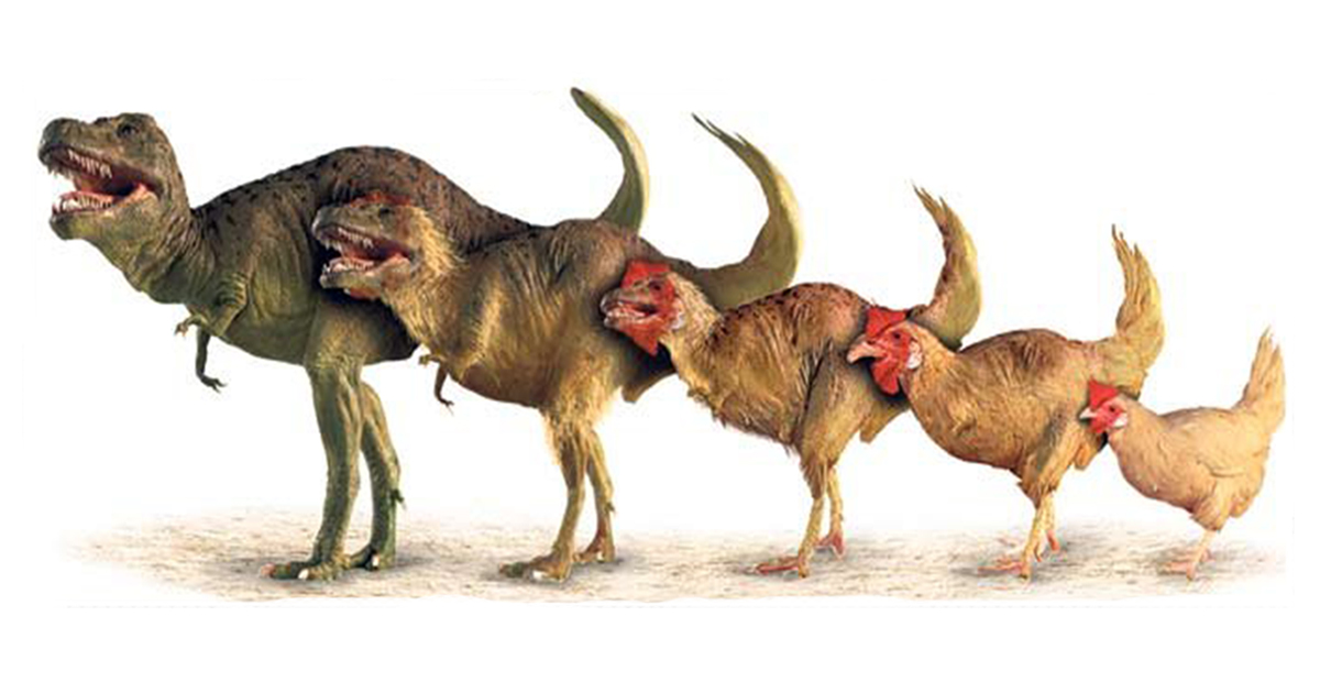 الديناصورات حقائق وأسرار