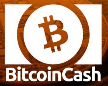 ما هو بيتكوين كاش Bitcoin Cash BCH ؟
