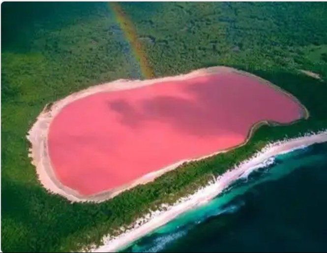 البحيرة الوردية.. روعة الطبيعة  
