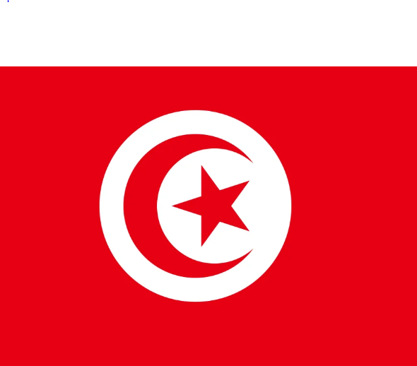  حقائق و أسرار عن تونس