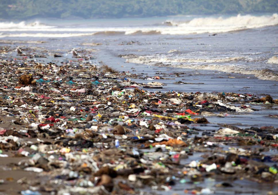 أضرار البلاستيك على البيئة والإنسان