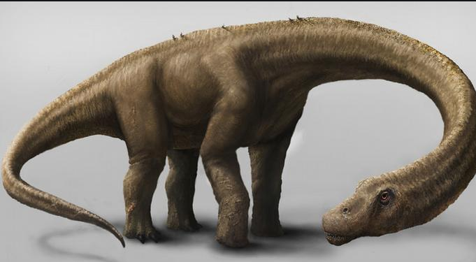 أكبر ديناصور في العالم حقائق وأسرار