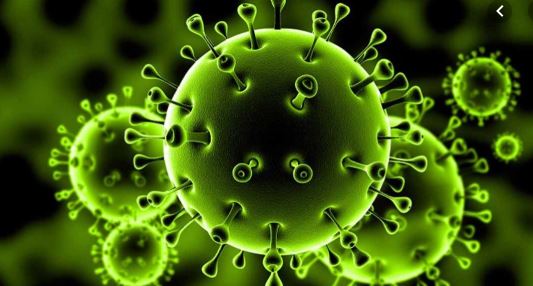 ما معنى فيروس كورونا ؟ و ما هو تاريخه ؟
