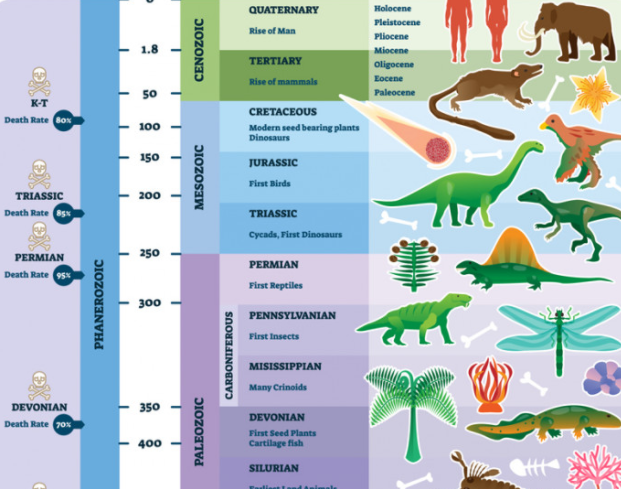 ما هو دور البشر في الانقراض الحديث ؟ معلومات