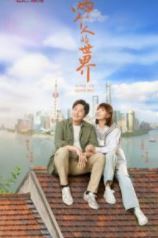 ما هي قصة مسلسل الحب في شنغهاي ؟ من هم أبطاله ؟ 