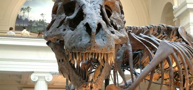  إكتشف كيف إنقرضت الديناصورات .. حقائق و أسرار !