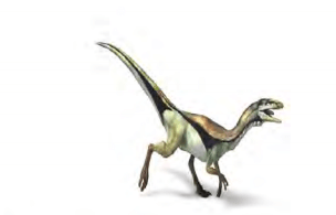 أصغر ديناصور في العالم حقائق وأسرار