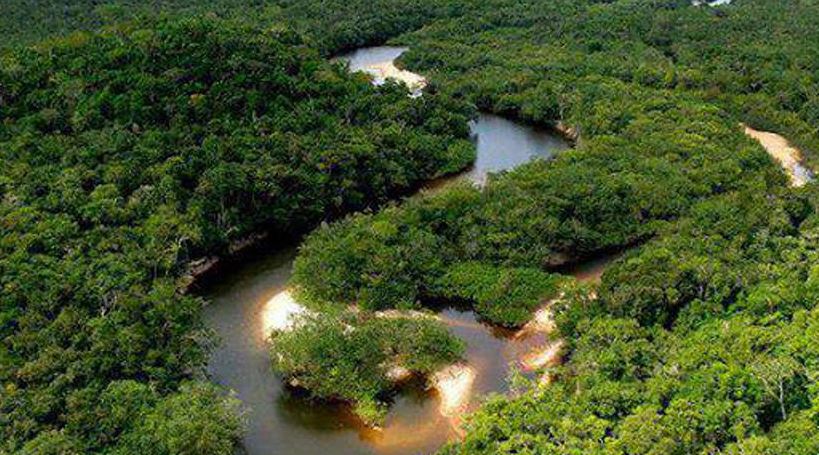 غابة الأمازون المخاطر و الموقع و الخصائص الجغرافية