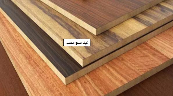 الخشب .. أنواعه و مميزاتها و استخداماته ! 