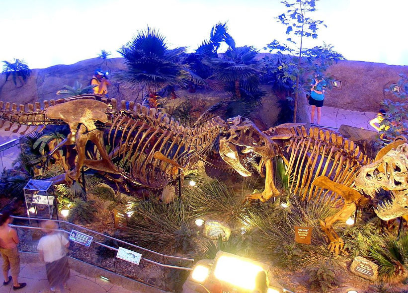 حقائق و أسرار عن تيرانوصور
