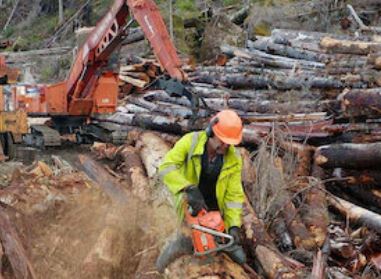 ما هي قصة مسلسل صيد الأخشاب الثمين Big Timber  ؟  من هم أبطاله ؟ 