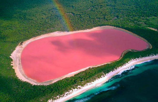 البحيرة الوردية حقائق